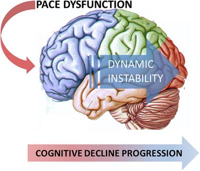 Mild Cognitive Impairment Subtypes Are Associated With Peculiar Gait Patterns in Parkinson’s Disease